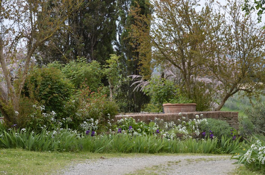 Agriturismo Poggio Ai Grilli غامباسي تيرمي الغرفة الصورة